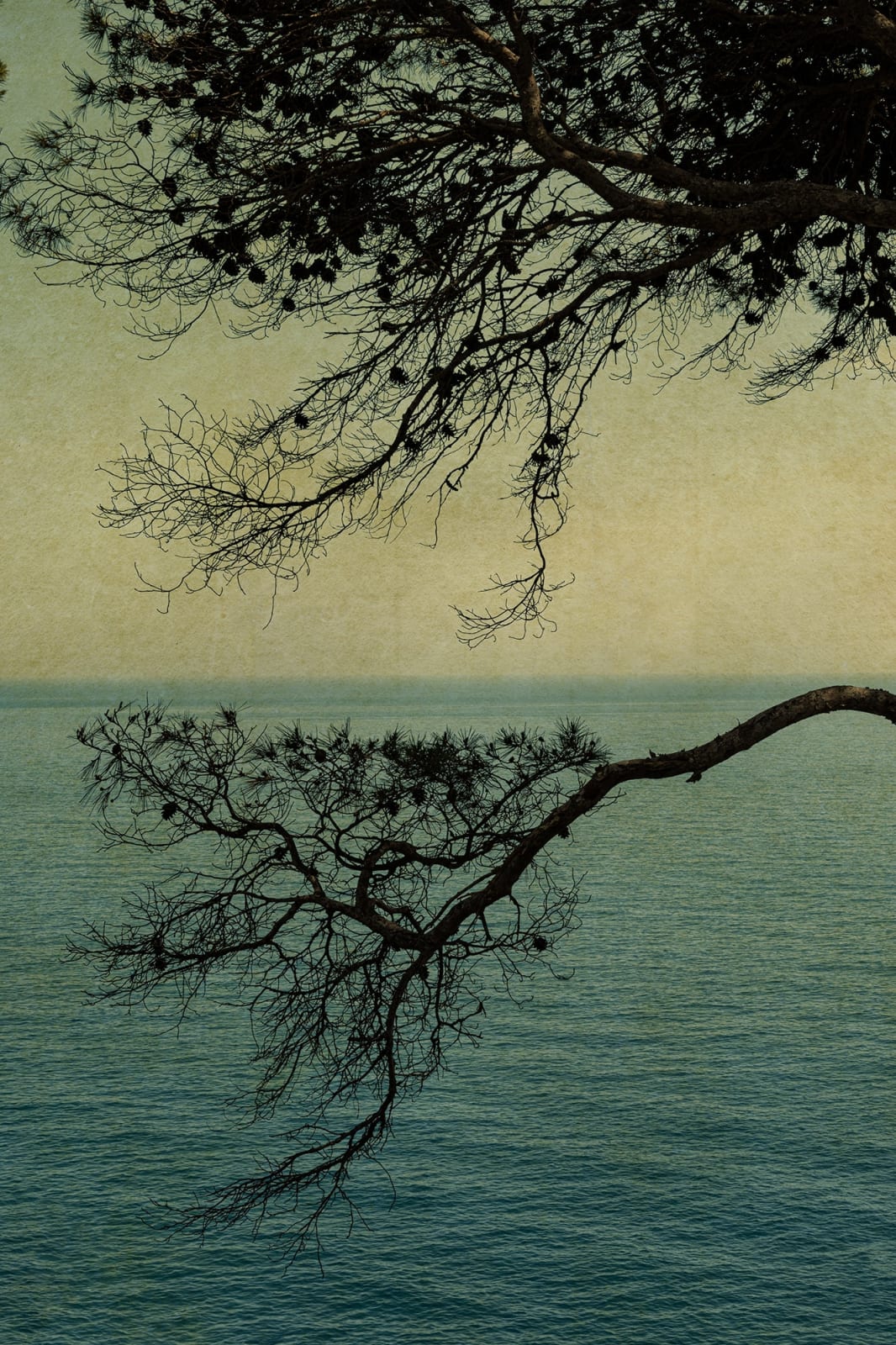 Albarrán Cabrera, The Mouth of Krishna #60908, 2022