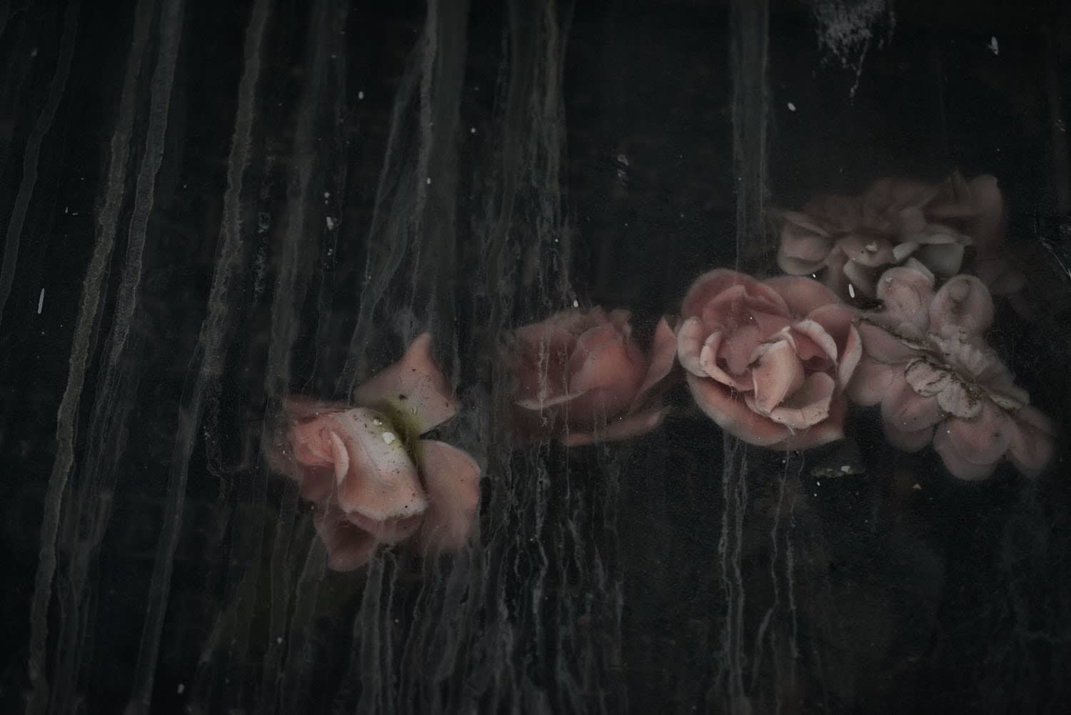 Christopher Thomas, Eternity 28, 2008