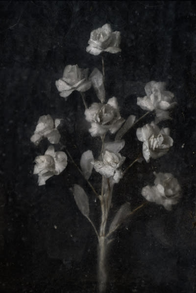 Christopher Thomas, Eternity 29, 2008