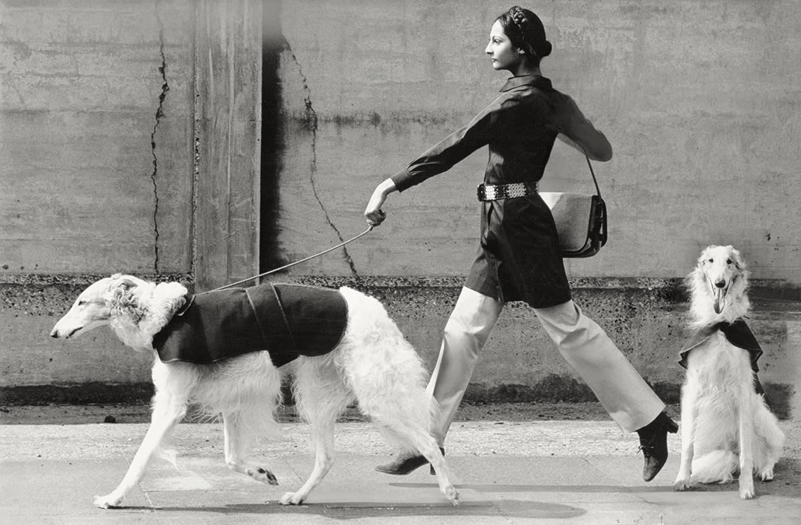 Norman Parkinson, Chandrika Angadi , wearing Saint Laurent, published in Vogue, July, 1970