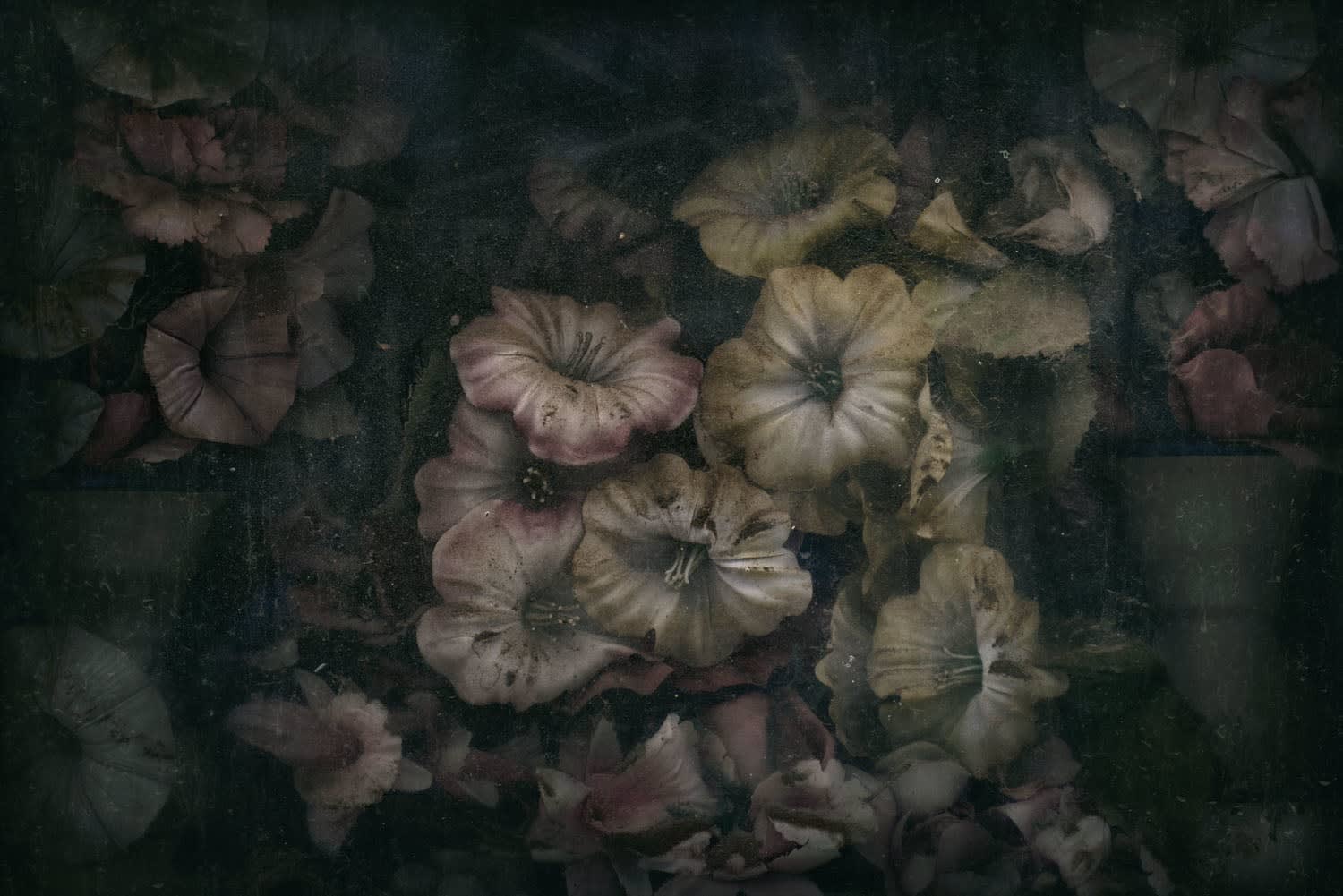 Christopher Thomas, Eternity 18, 2011