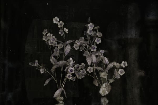 Christopher Thomas, Eternity 31, 2005