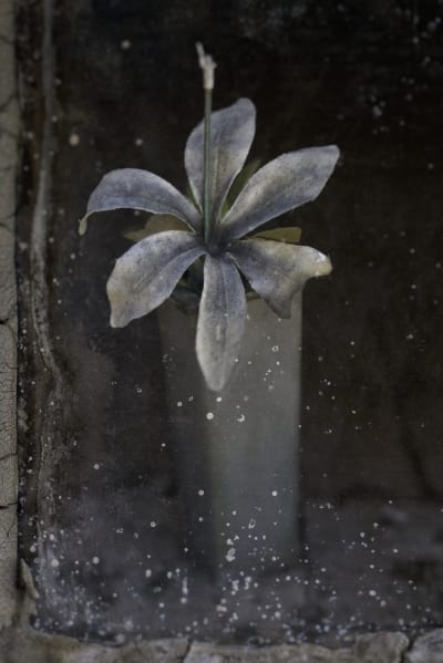 Christopher Thomas, Eternity 10, 2008