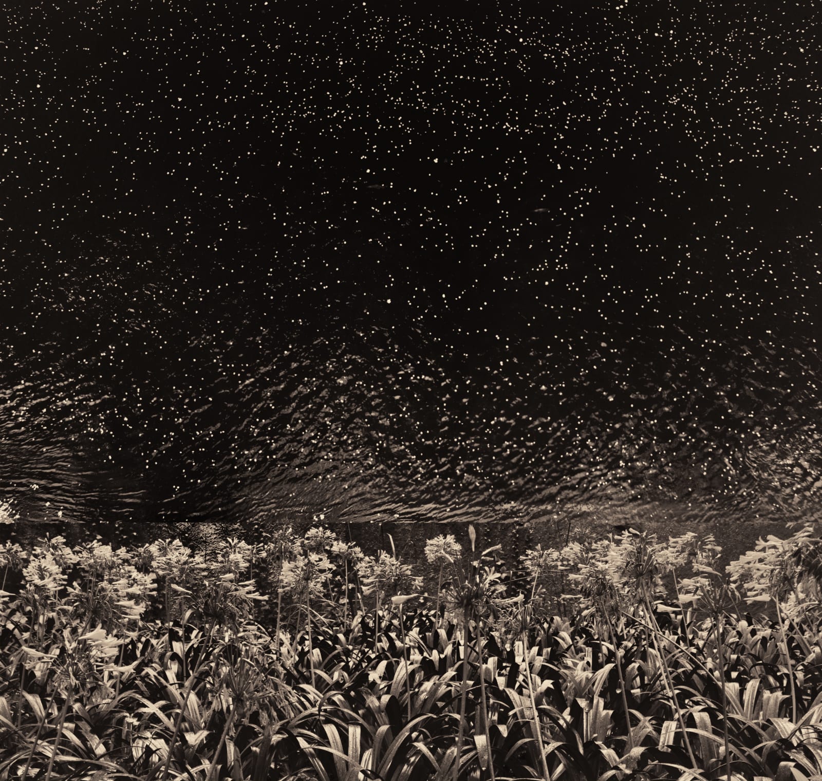 Albarrán Cabrera, The Mouth of Krishna, #172, 2013