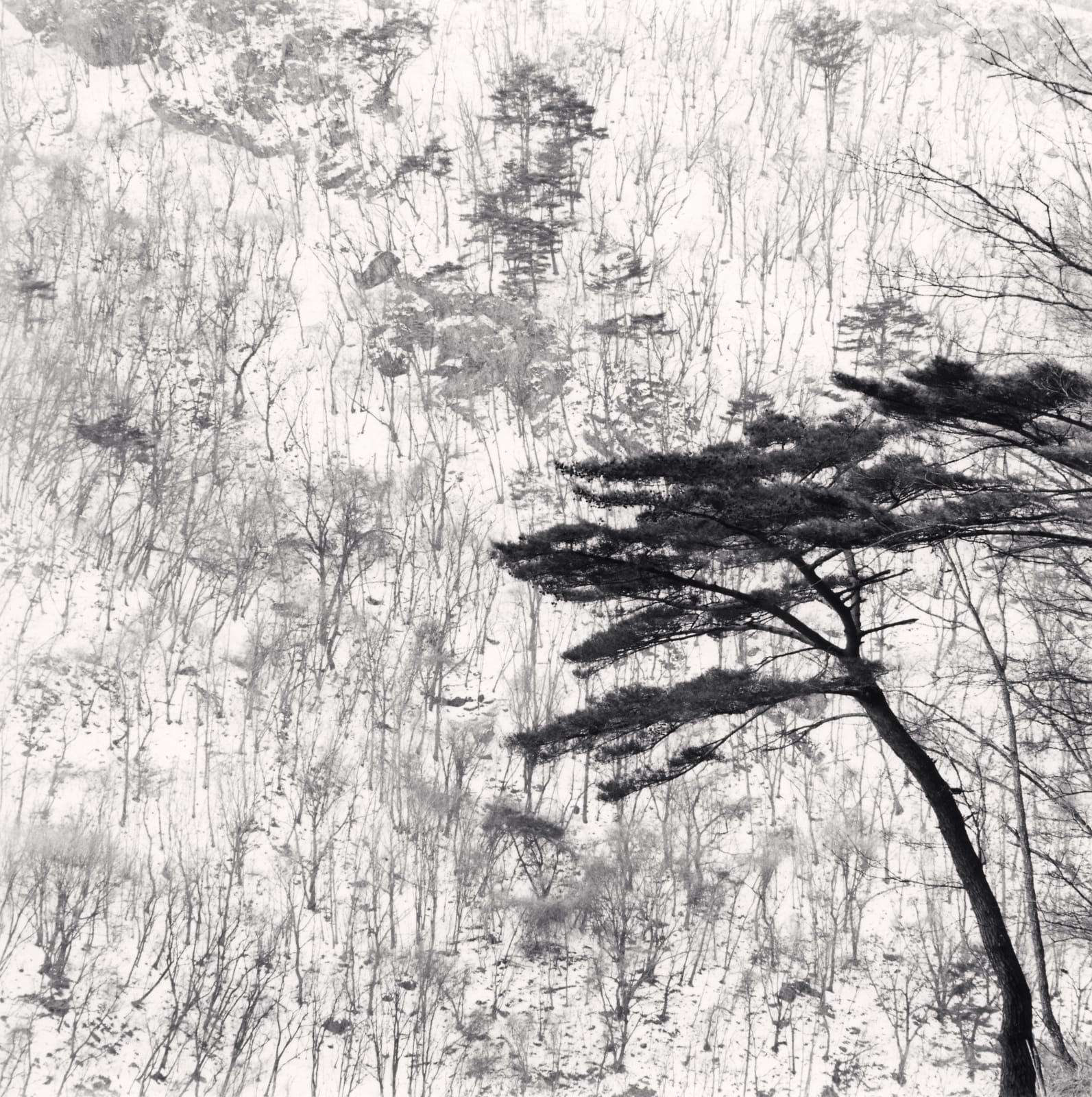 Michael Kenna, Mountain Walk, Pyeongchang, South Korea, 2012