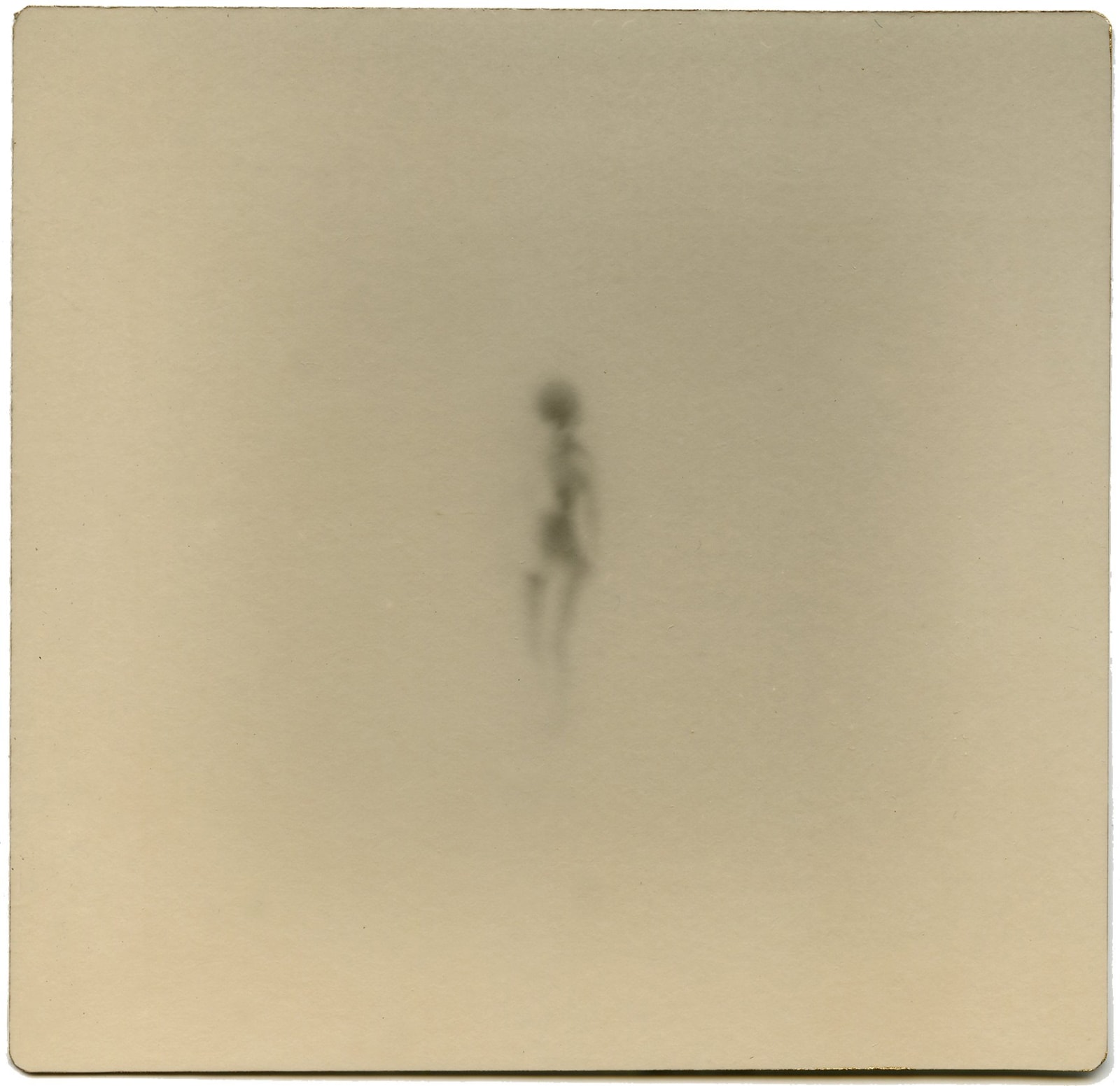 Miho Kajioka, #0055, 2019