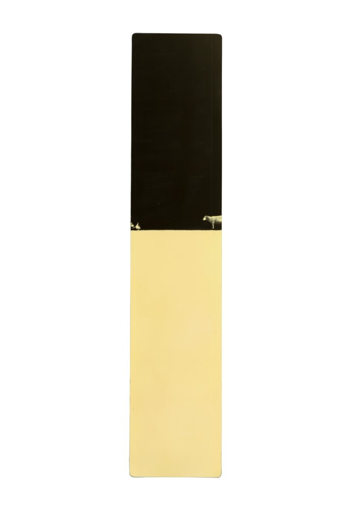 Miho Kajioka, BK0266, 2000