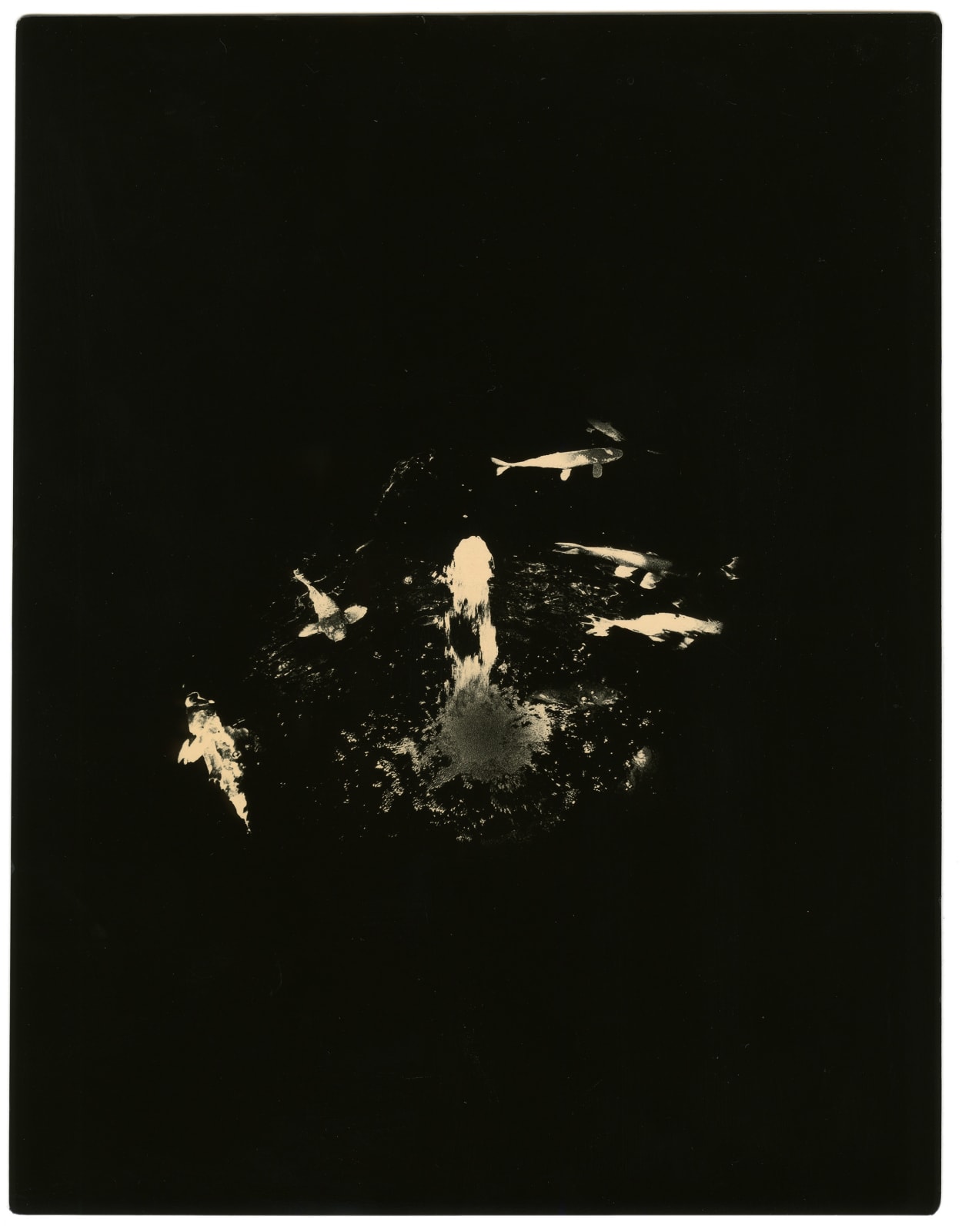 Miho Kajioka, BK0362, 2018