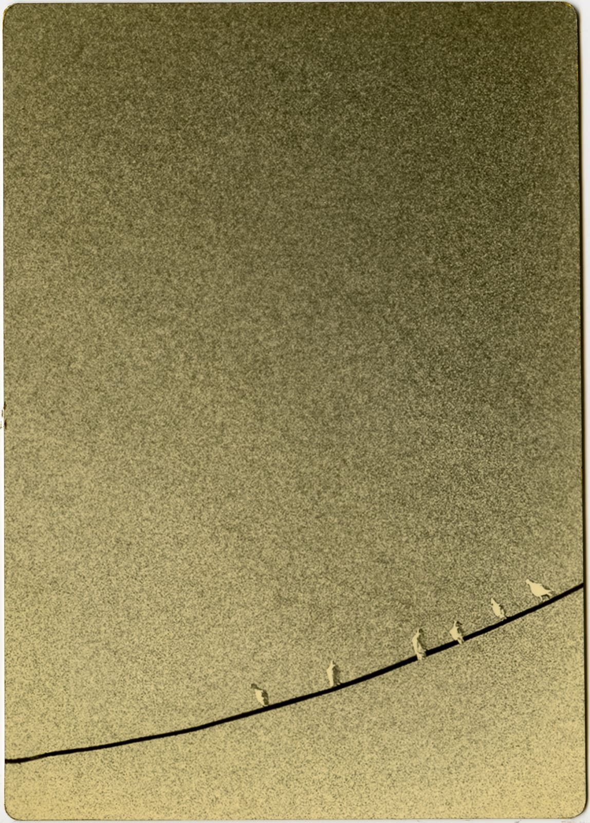 Miho Kajioka, #0005, 2020