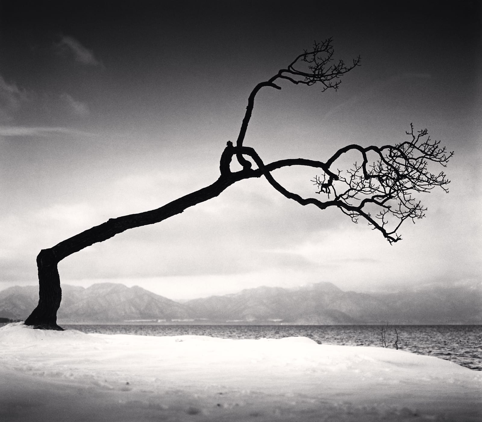 Michael Kenna, Kussharo Lake Tree, Study 16, Kotan, Hokkaido Japan, 2009