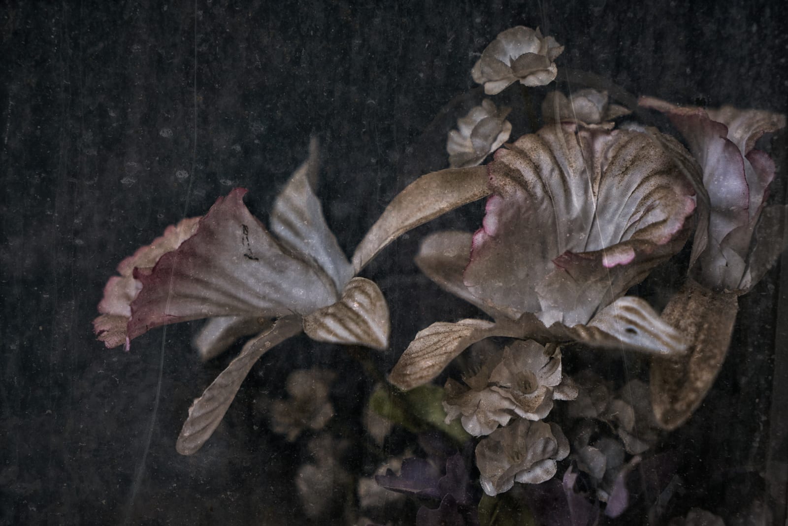 Christopher Thomas, Eternity 76, 2008