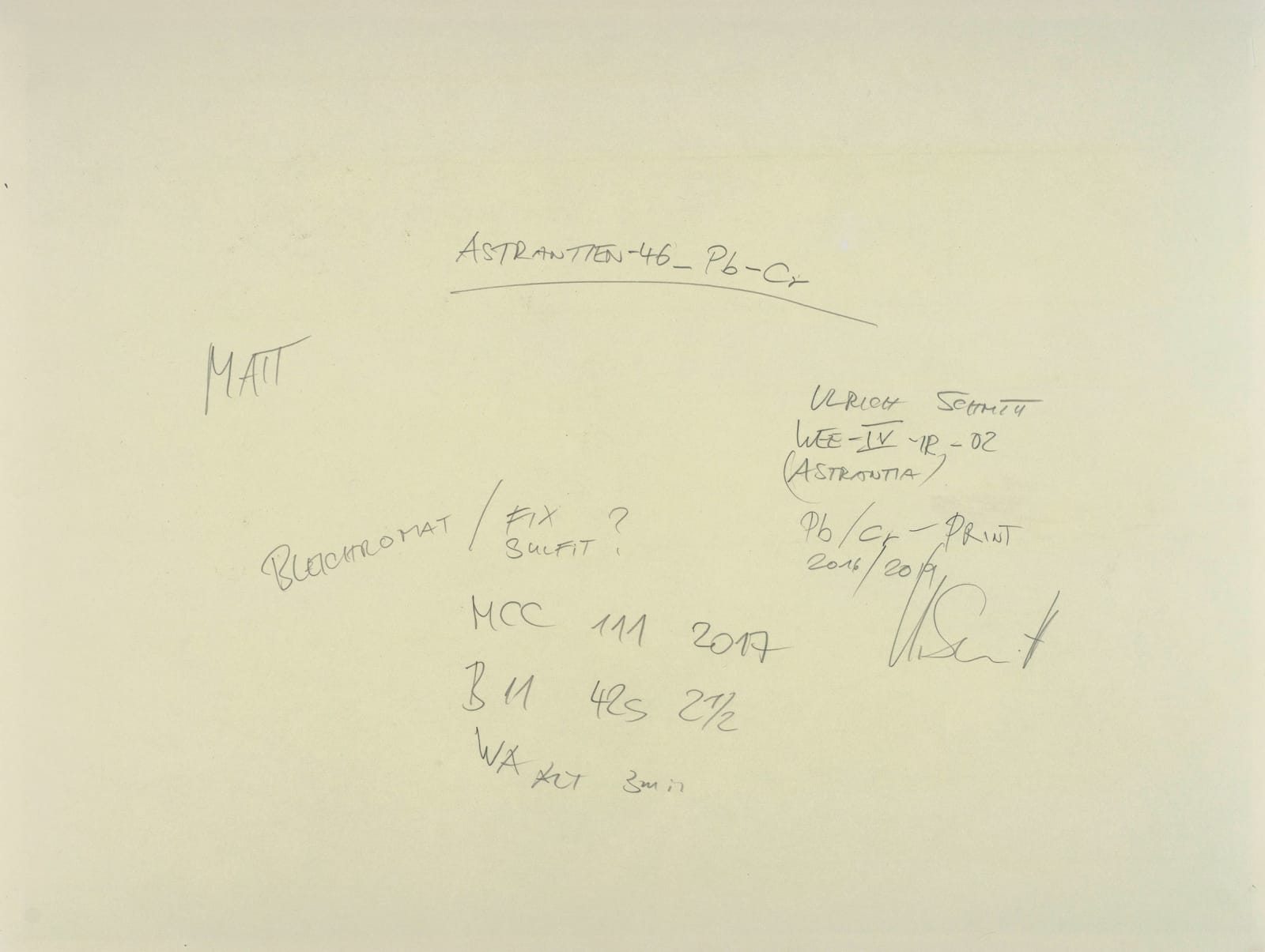 Ulrich Schmitt, Astrantien-46-Chromium, 2017/2019