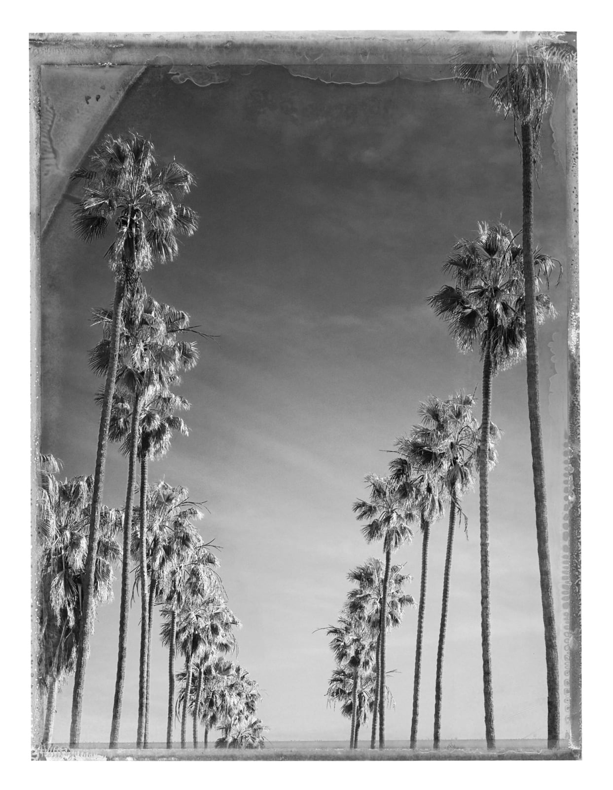 Christopher Thomas, Bay Street, Santa Monica, 2015