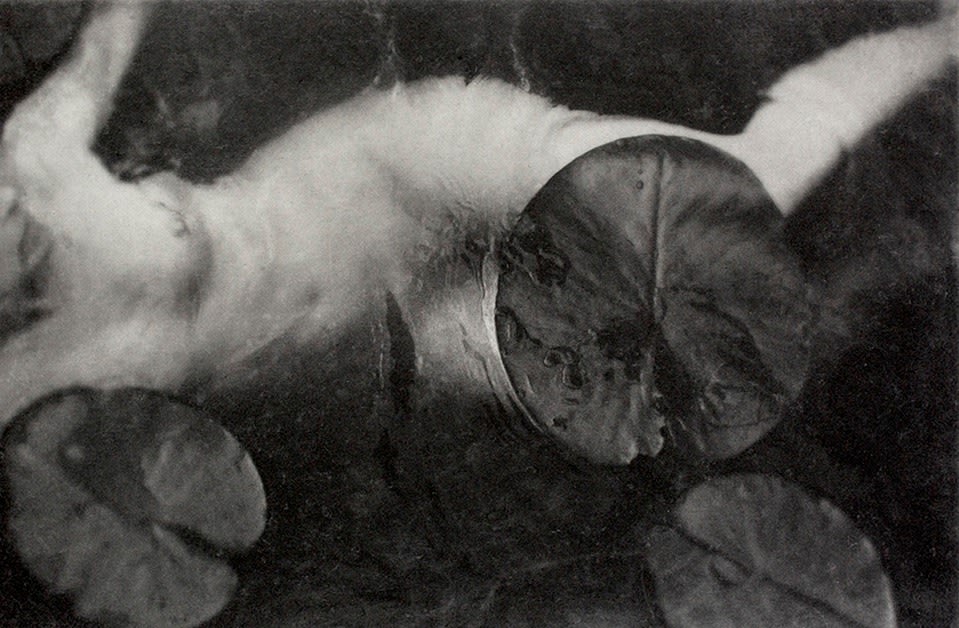Chantal Elisabeth Ariëns, Healing or Drowning #2, 2020