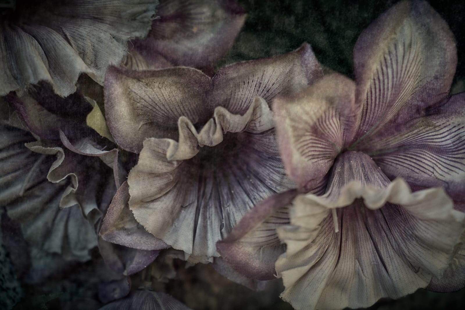 Christopher Thomas, Eternity 40, 2006