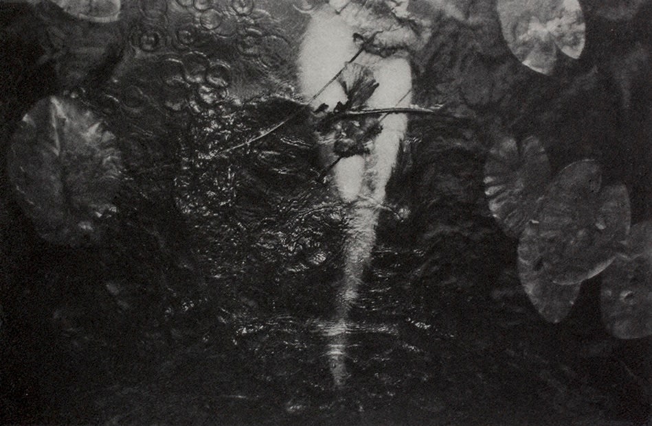 Chantal Elisabeth Ariëns, Healing or Drowning #1, 2020