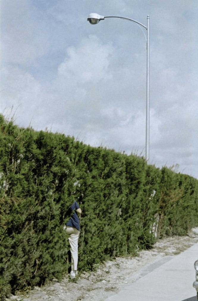 Vivian Maier, Untitled , n.d.
