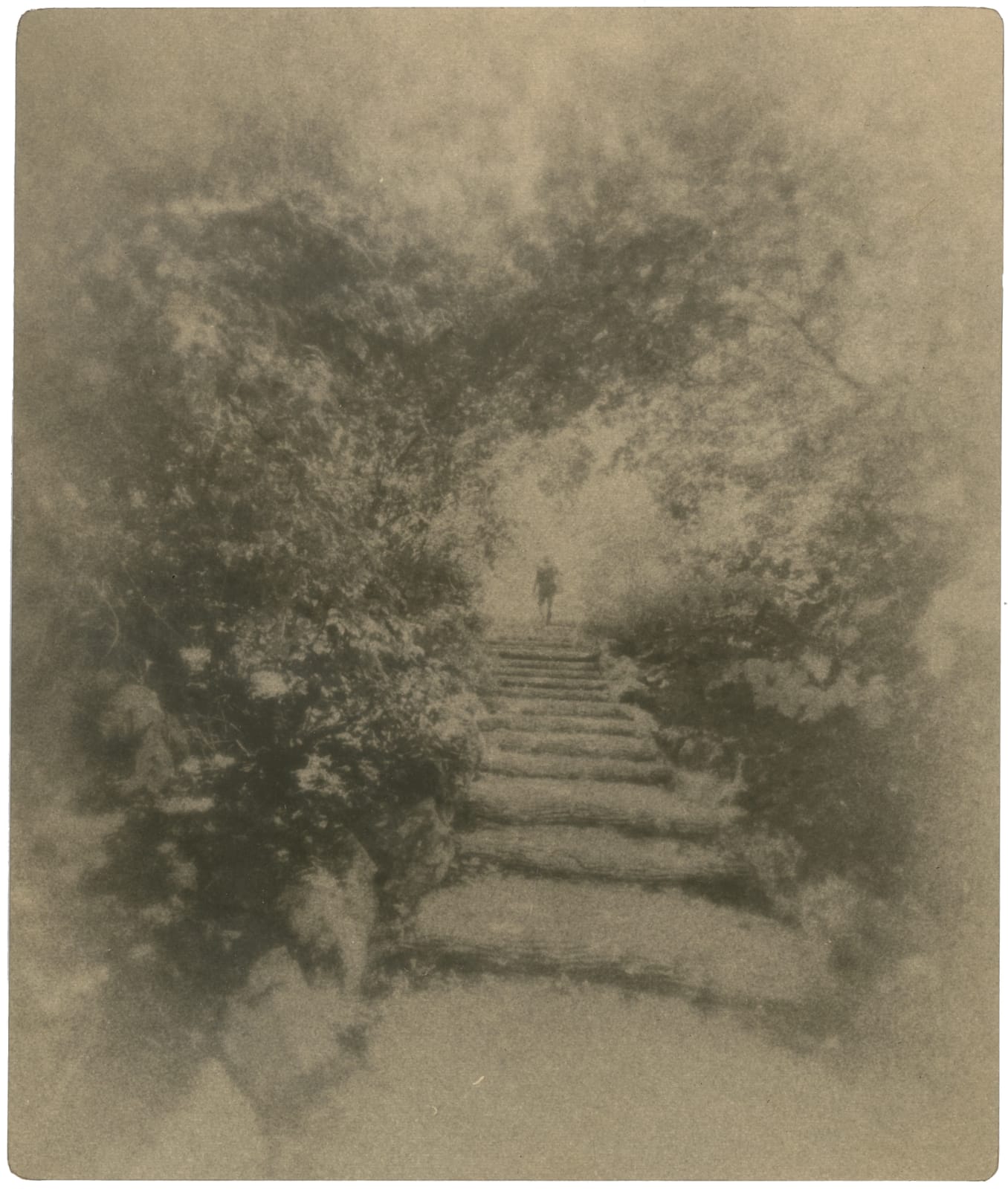 Miho Kajioka, #0084, 2022