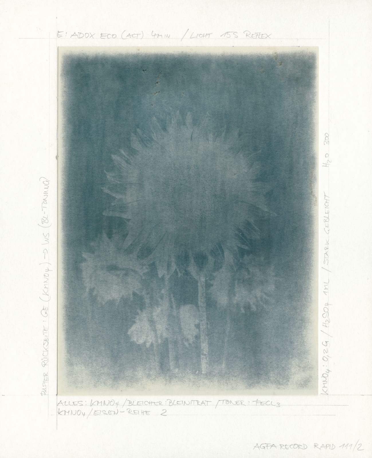 Ulrich Schmitt, Sonnenblumen-02D-T02-Ferrum, 2003/2019