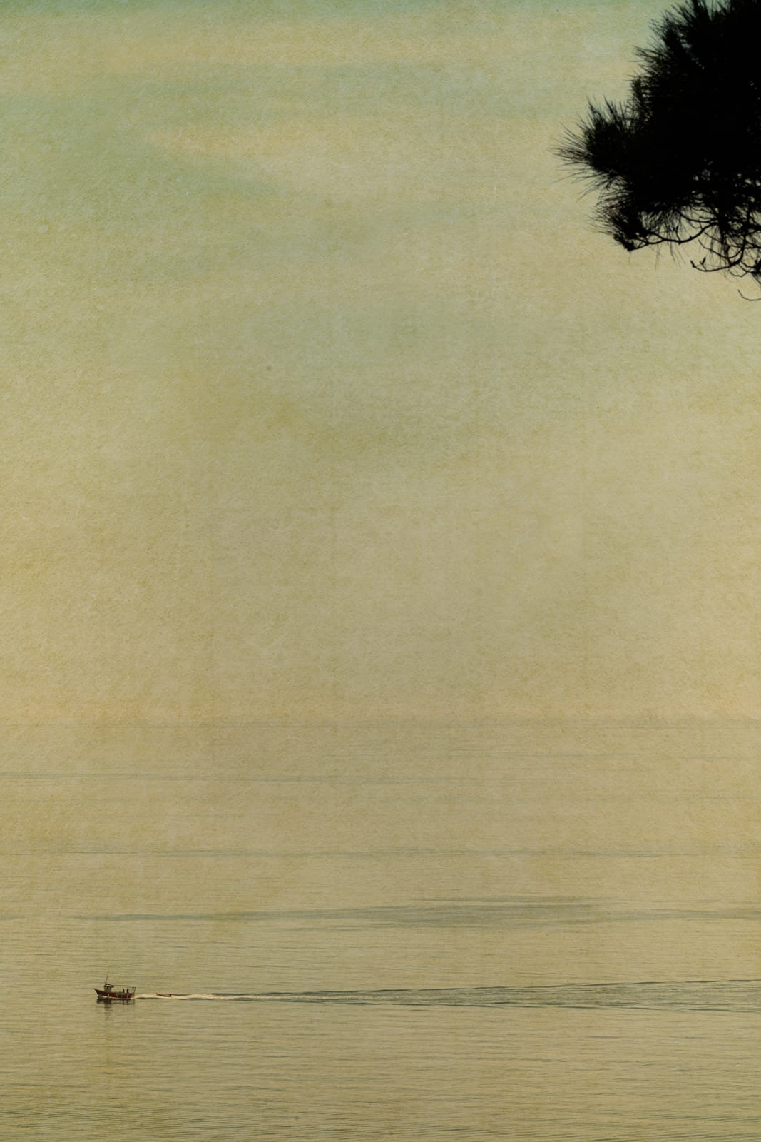 Albarrán Cabrera, The Mouth of Krishna #906, 2022