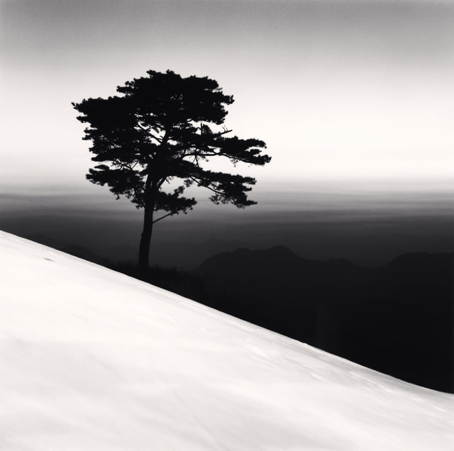 Michael Kenna, Mountain Tree, Danyang, Chungcheongbukdo, South Korea, 2011