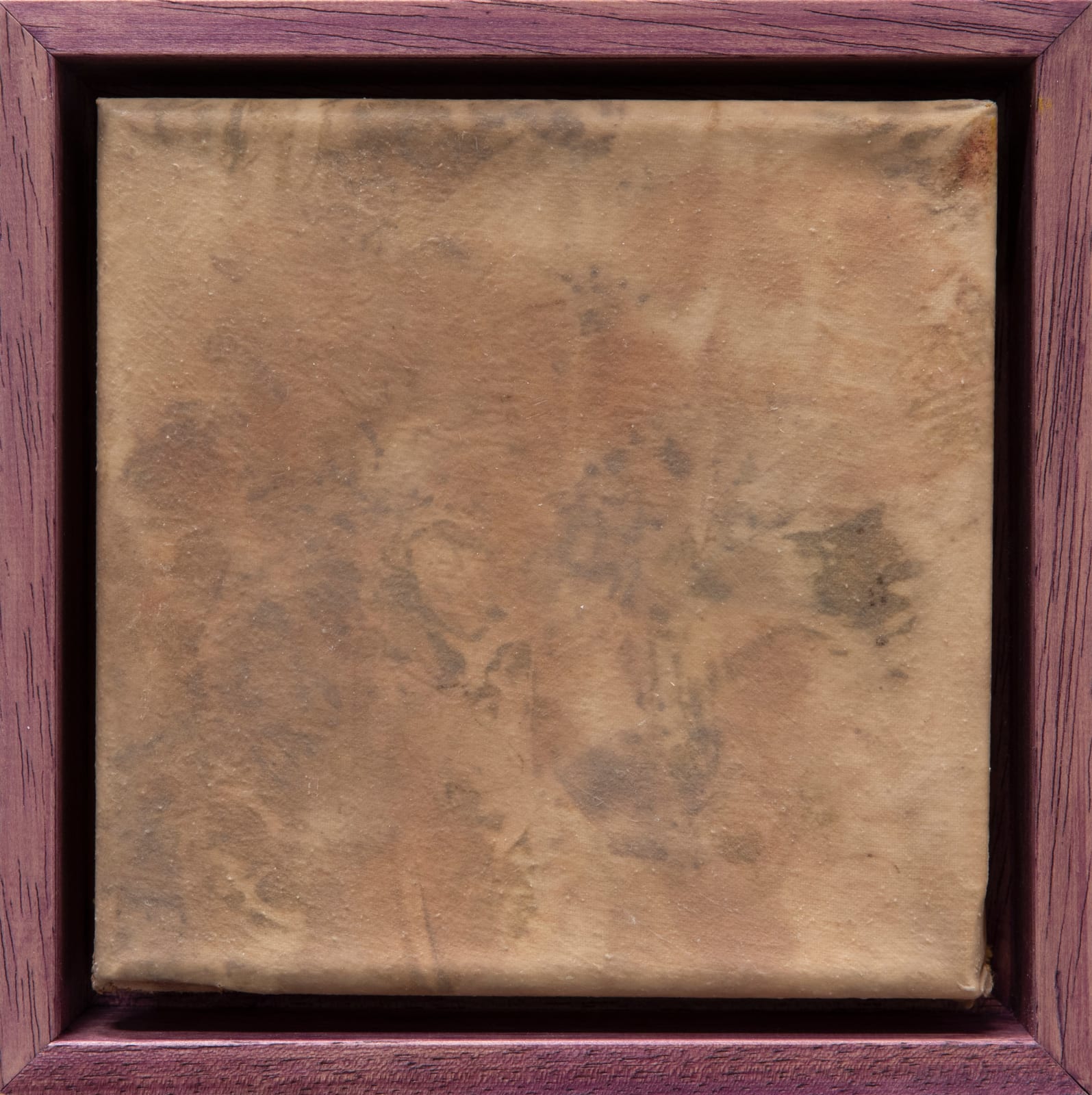 Alyazia Al Nahyan, Rooted, 2023