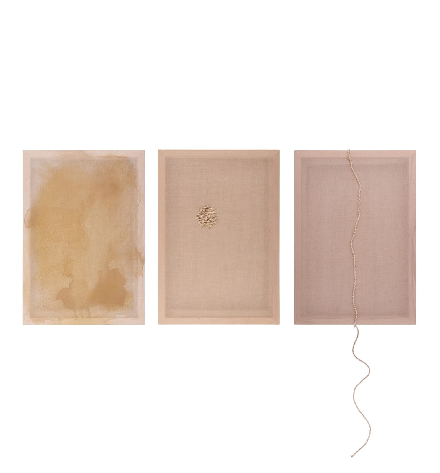 Shamsa Al Omaira, A Seed Triology, 2024