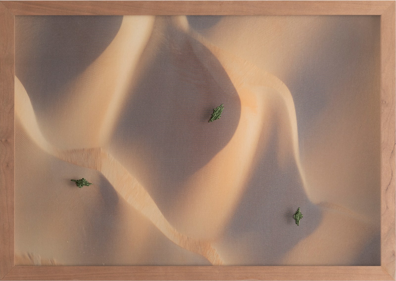 Shamsa Al Omaira, Sprinkles of Green, 2024