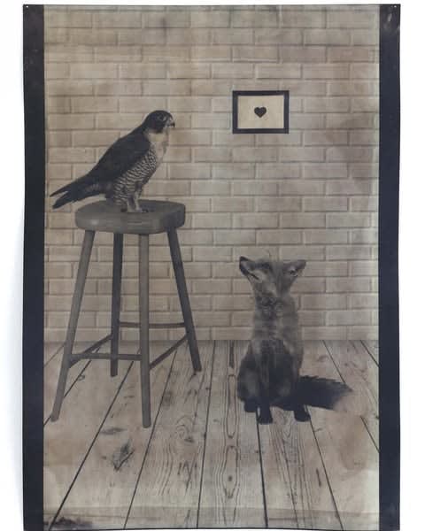 Isobel McCarthy, The Fox and The Falcon, 2024