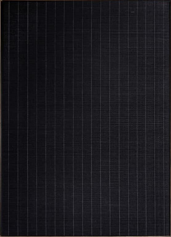Alexander Sebastianus, #4600, 2020
