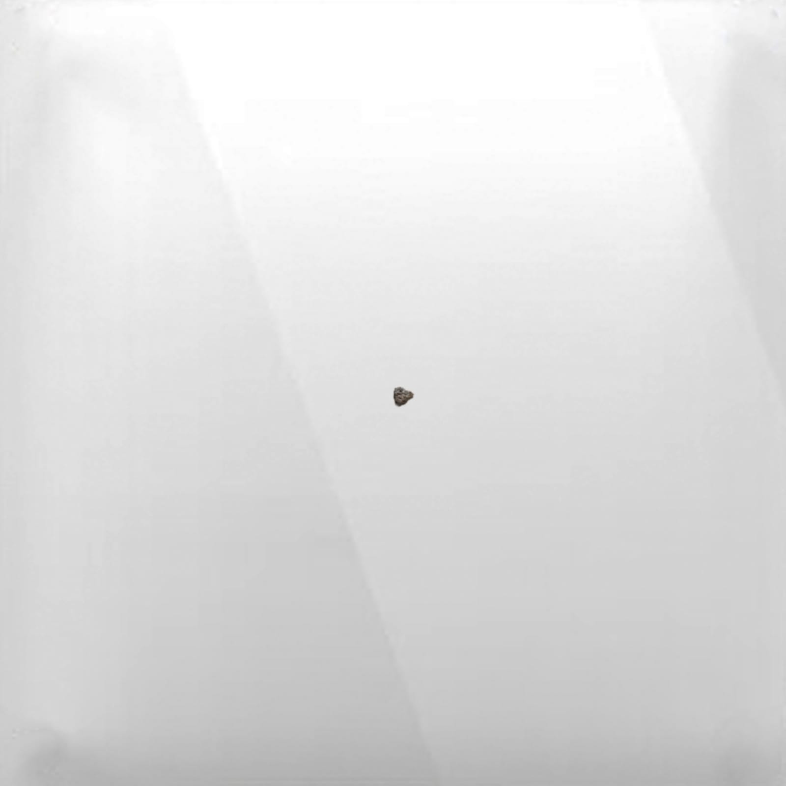 Alexander Sebastianus, Hanya/Only, 1995 - 2023