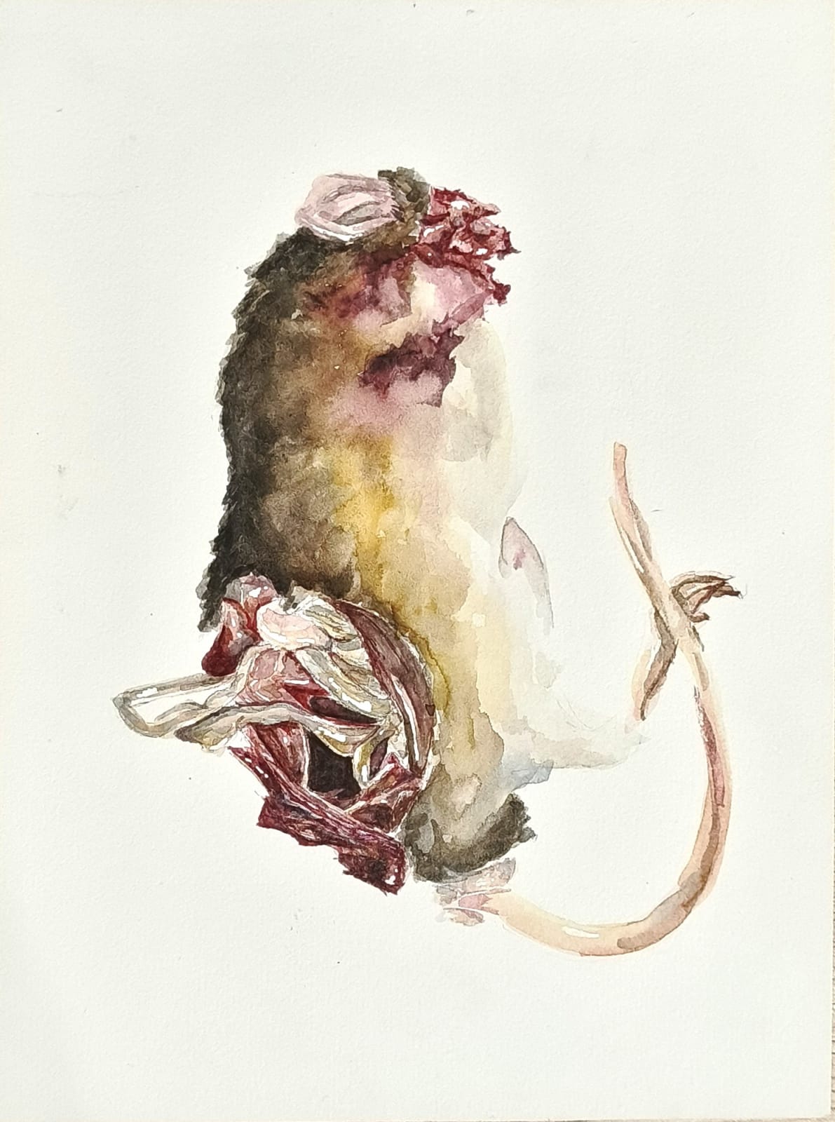 Keenan Tham, Rat Race 2, 2023