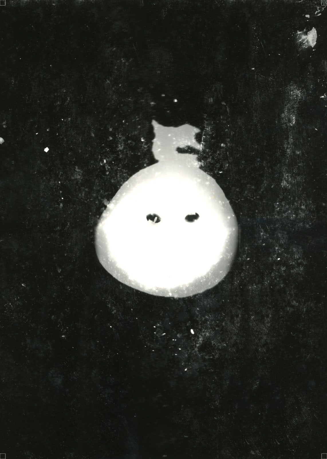 Anang Saptoto, Ecological Faces Series: Coconut Seeds in Photogram, 2018