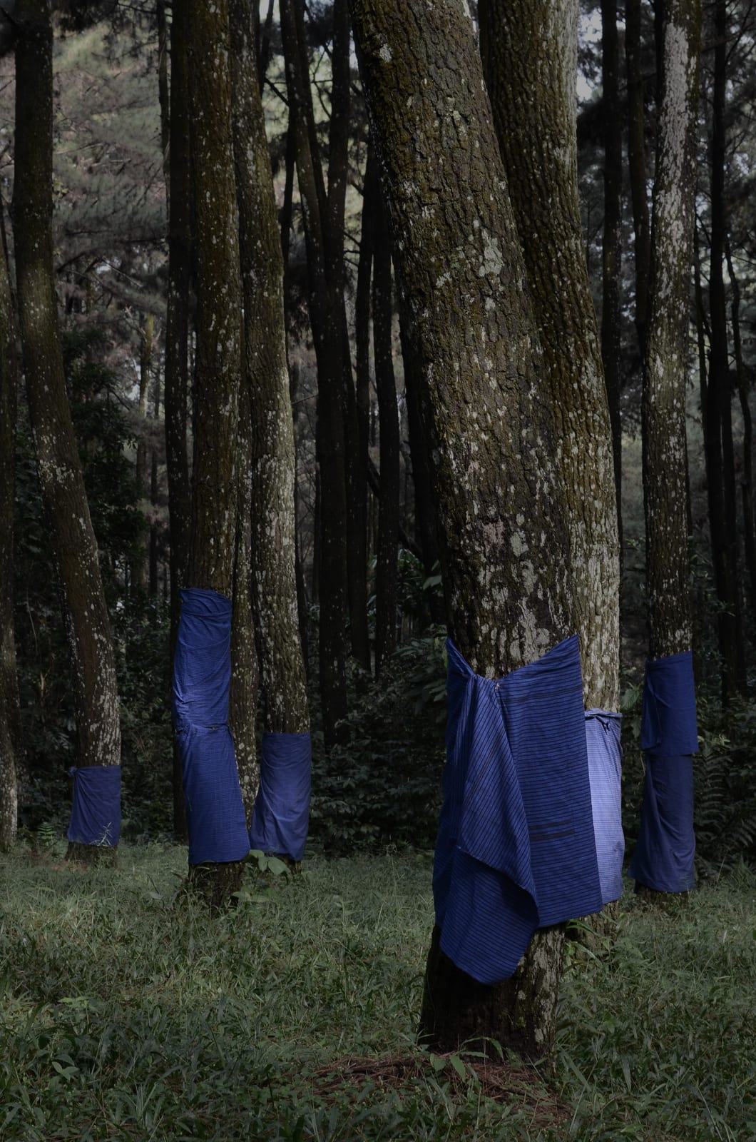 Alexander Sebastianus, Utan #6 (Ilford), 2021