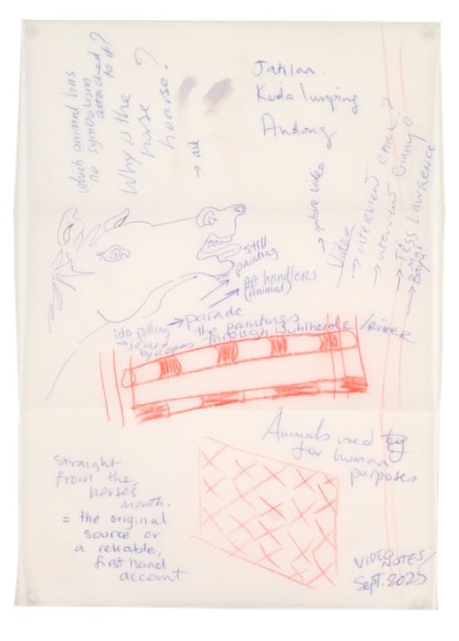 Ida Lawrence, Tampered Notes (HOARSE HORSE VIDEO VIDEO), 2025