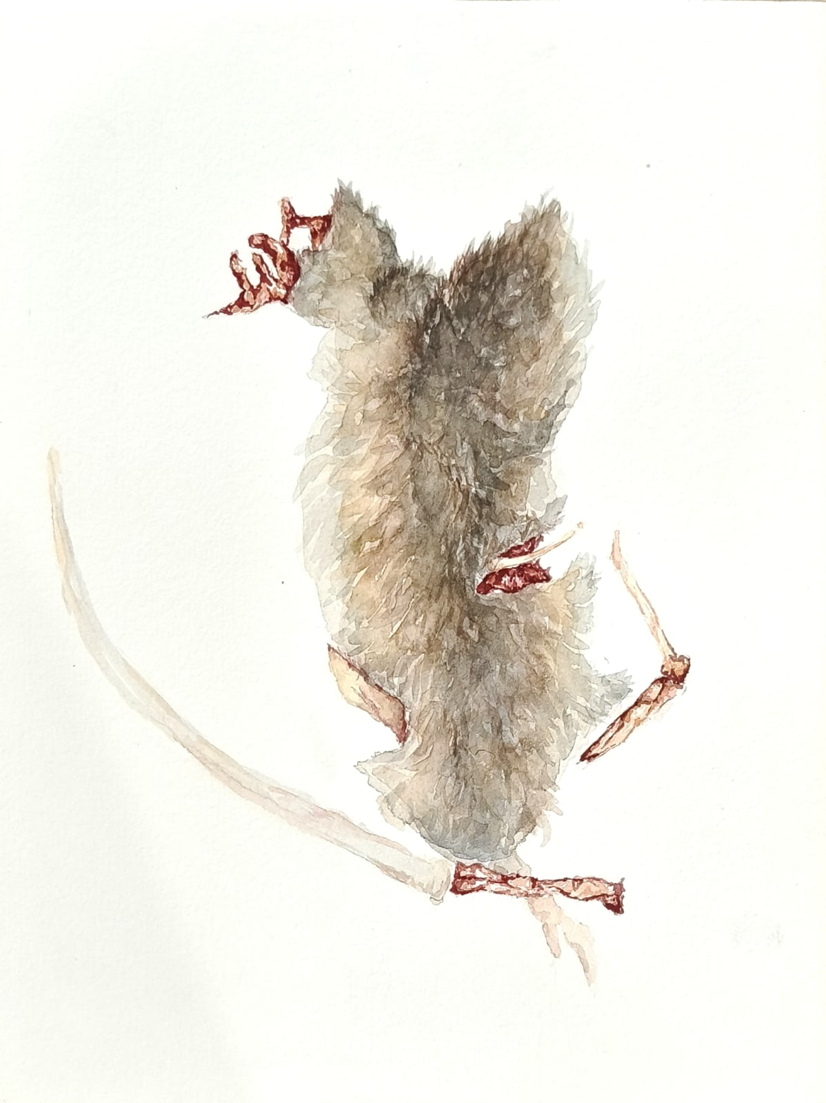 Keenan Tham, Rat Race 3, 2023