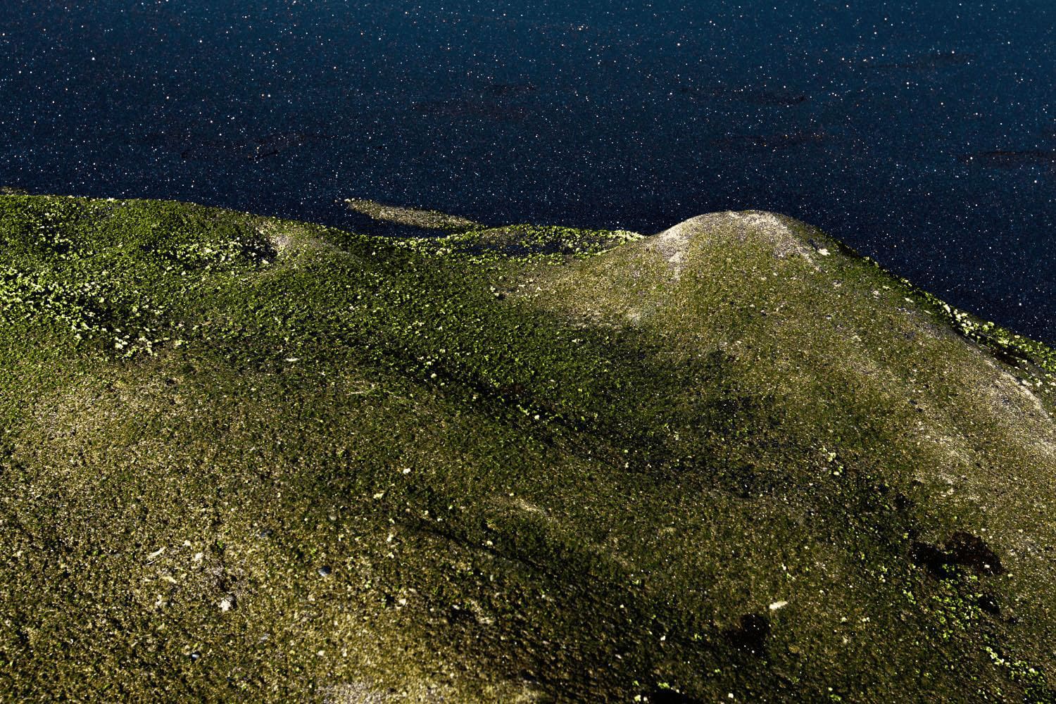 Evelyn Pritt, Stars below - moss, 2015