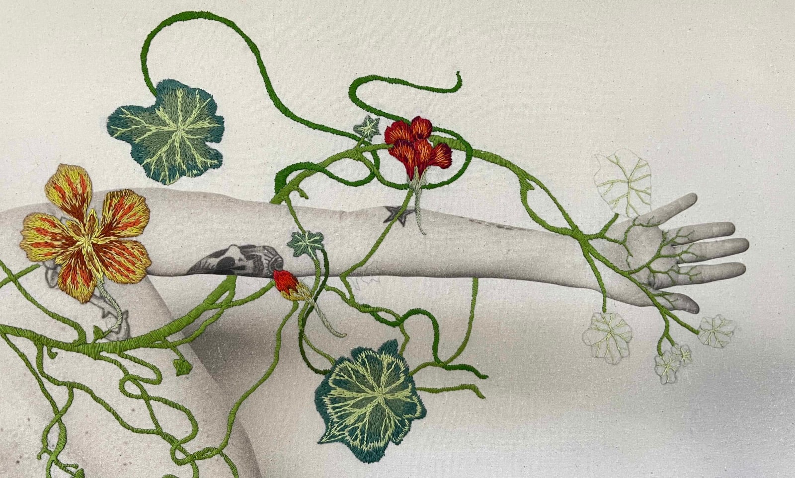 Juana Gómez, Cultivo, 2025