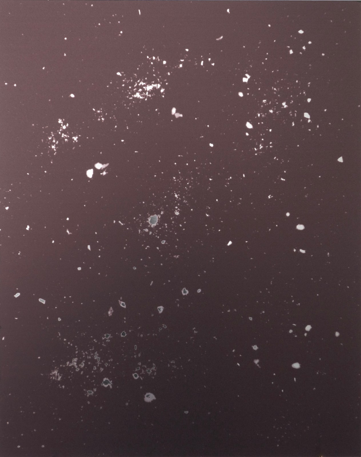 Pedro Albertini, Dust Mirror VIII, 2024