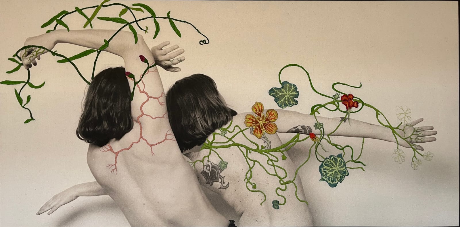 Juana Gómez, Cultivo, 2025