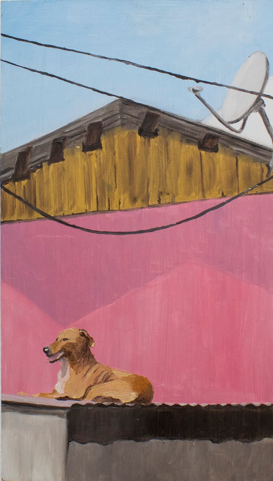 Aracelly Amigo, Cuidado con el Perro, 2021