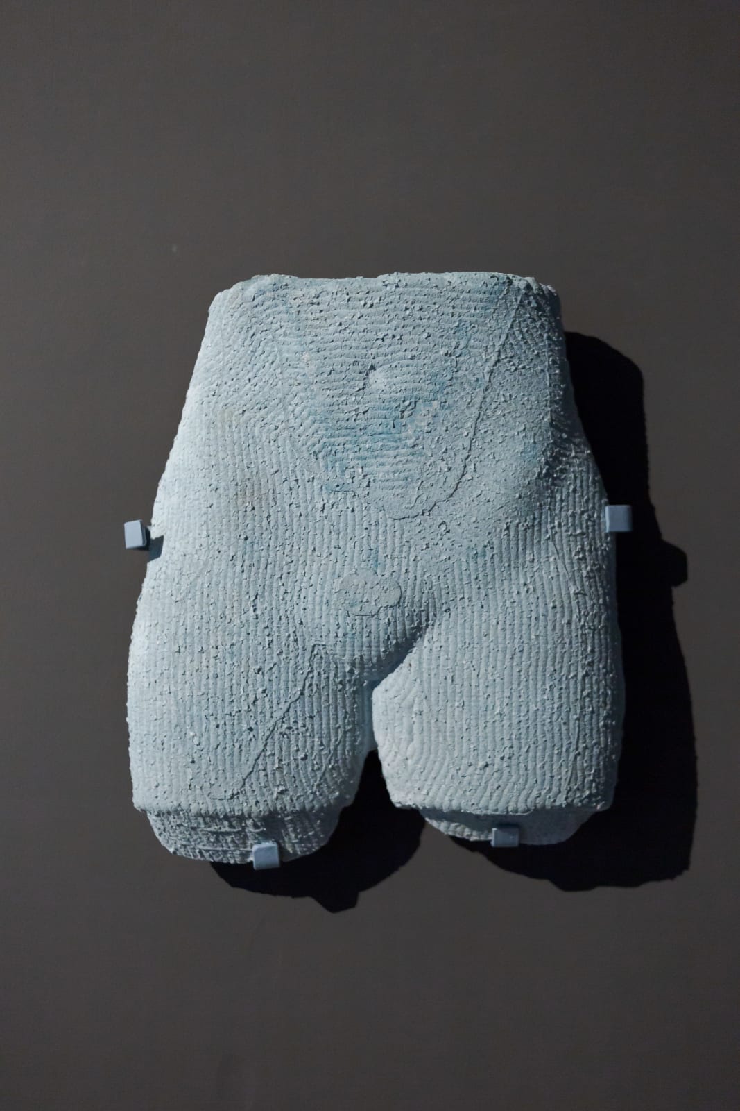 Marcelo Cruzat, Fragmentos - Pelvis, 2022