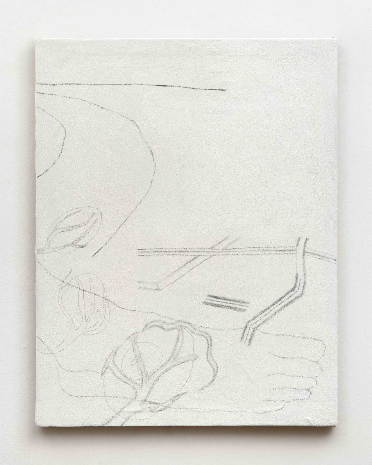 Vicente Prieto Gaggero, Descalzo y frutos, 2024