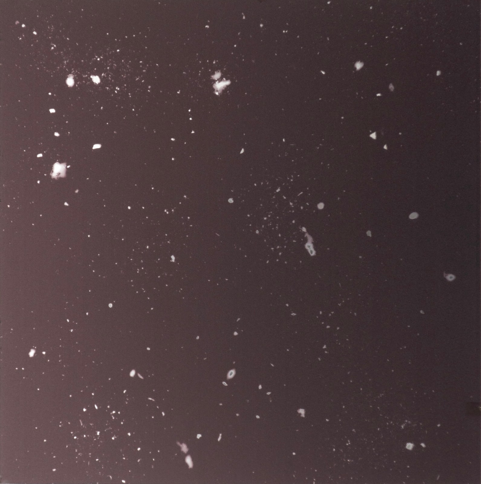 Pedro Albertini, Dust Mirror IV, 2024