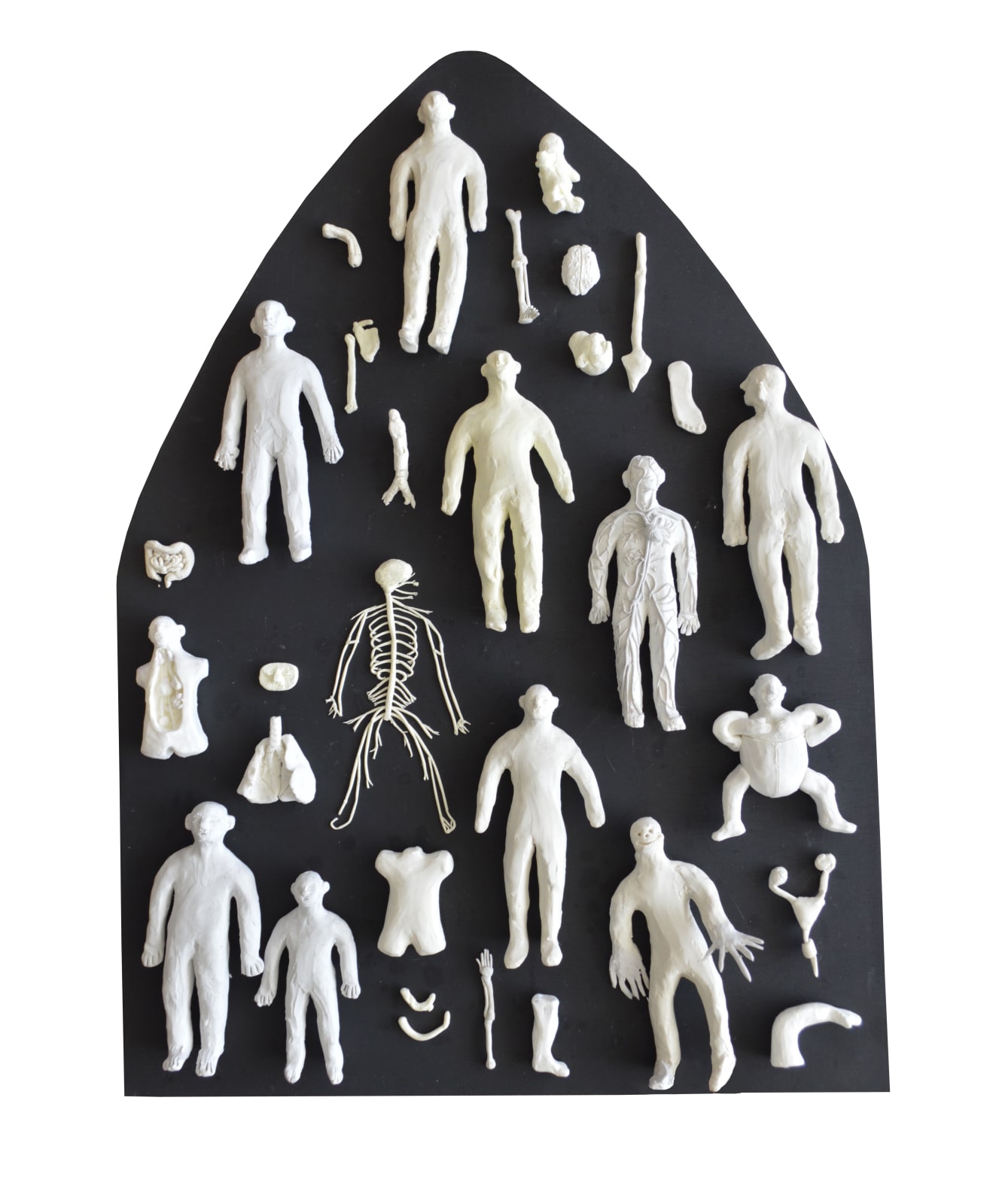 Fernanda Núñez, Disección II, 2022