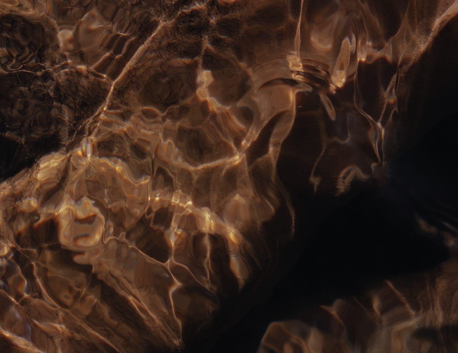 Francisco Allendes, Corpus Fluens IV, 2025