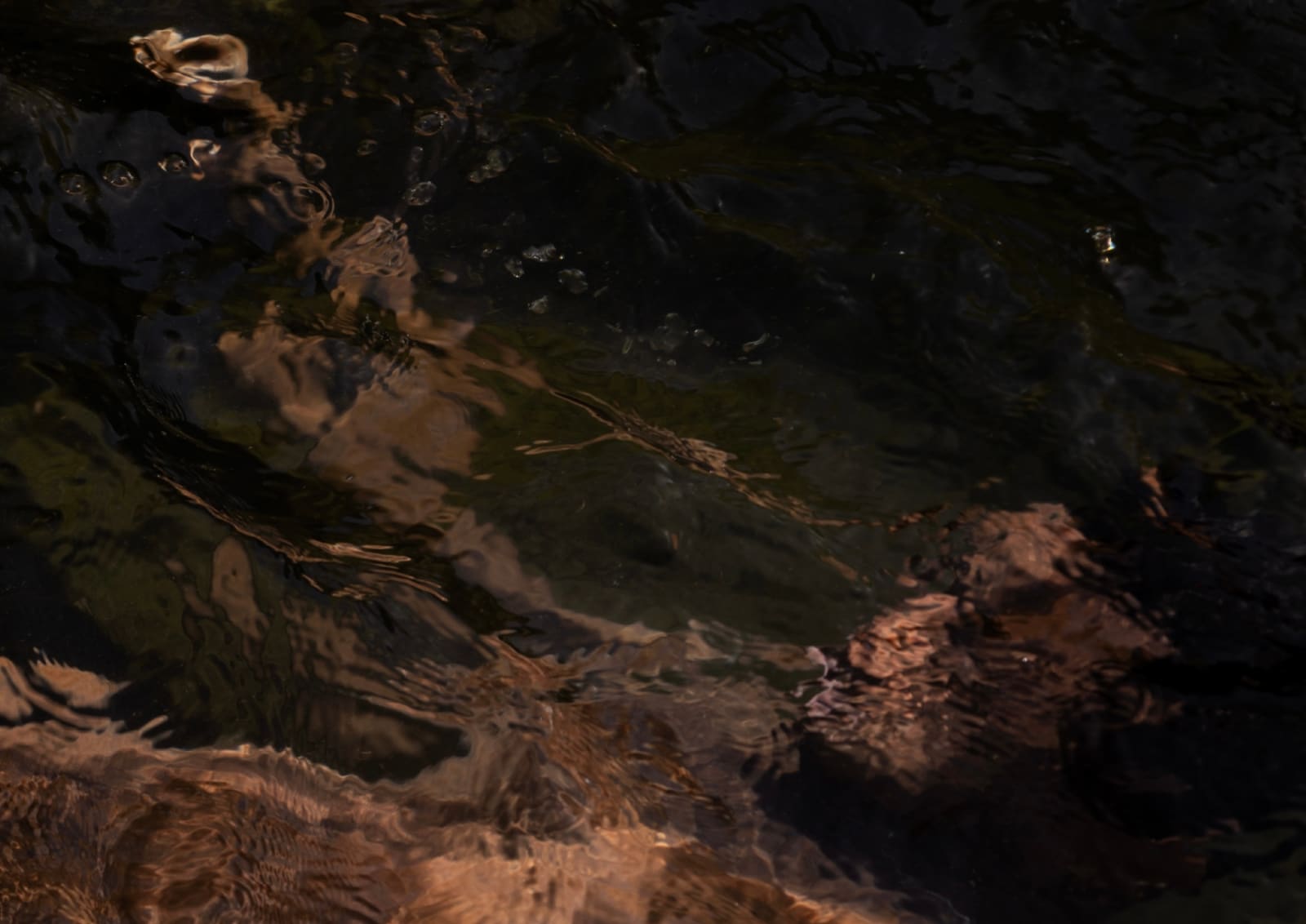 Francisco Allendes, Corpus Fluens |||, 2024