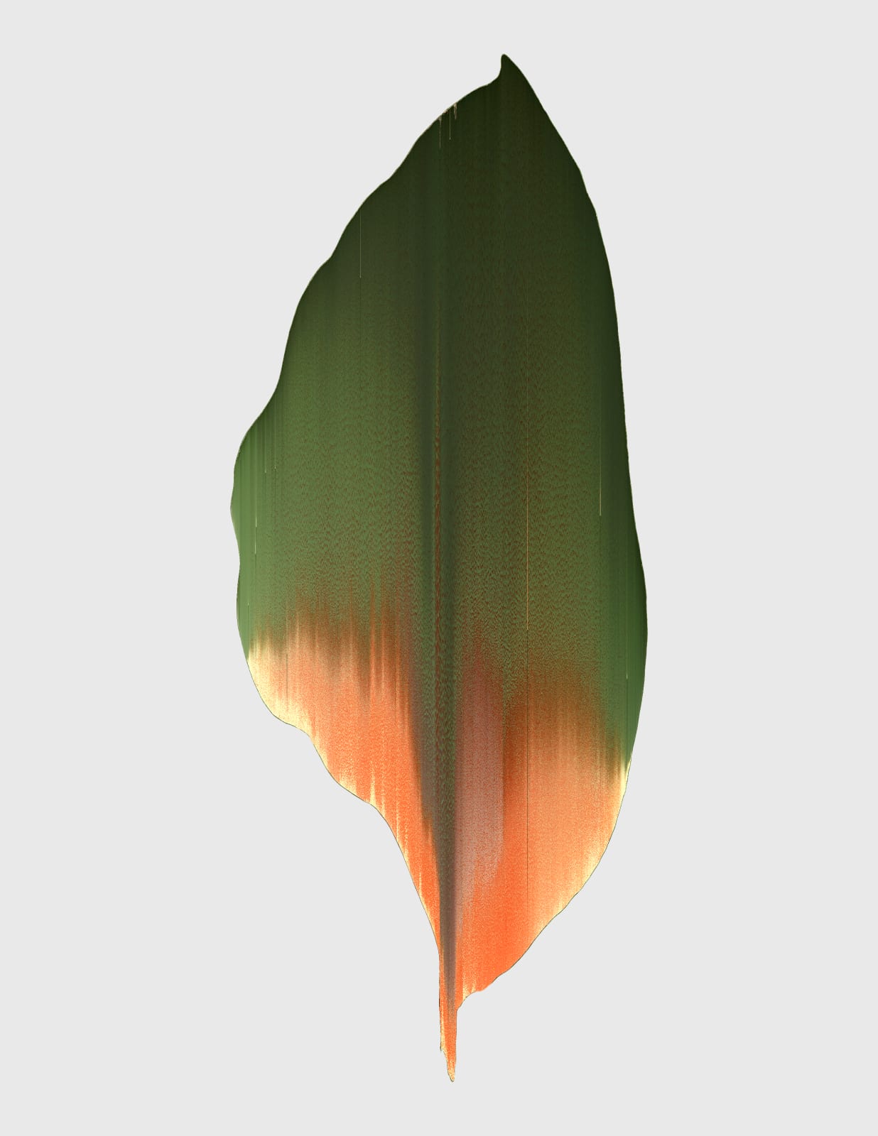 Andrea Wolf, Calathea Regalis, var. 036, 2020