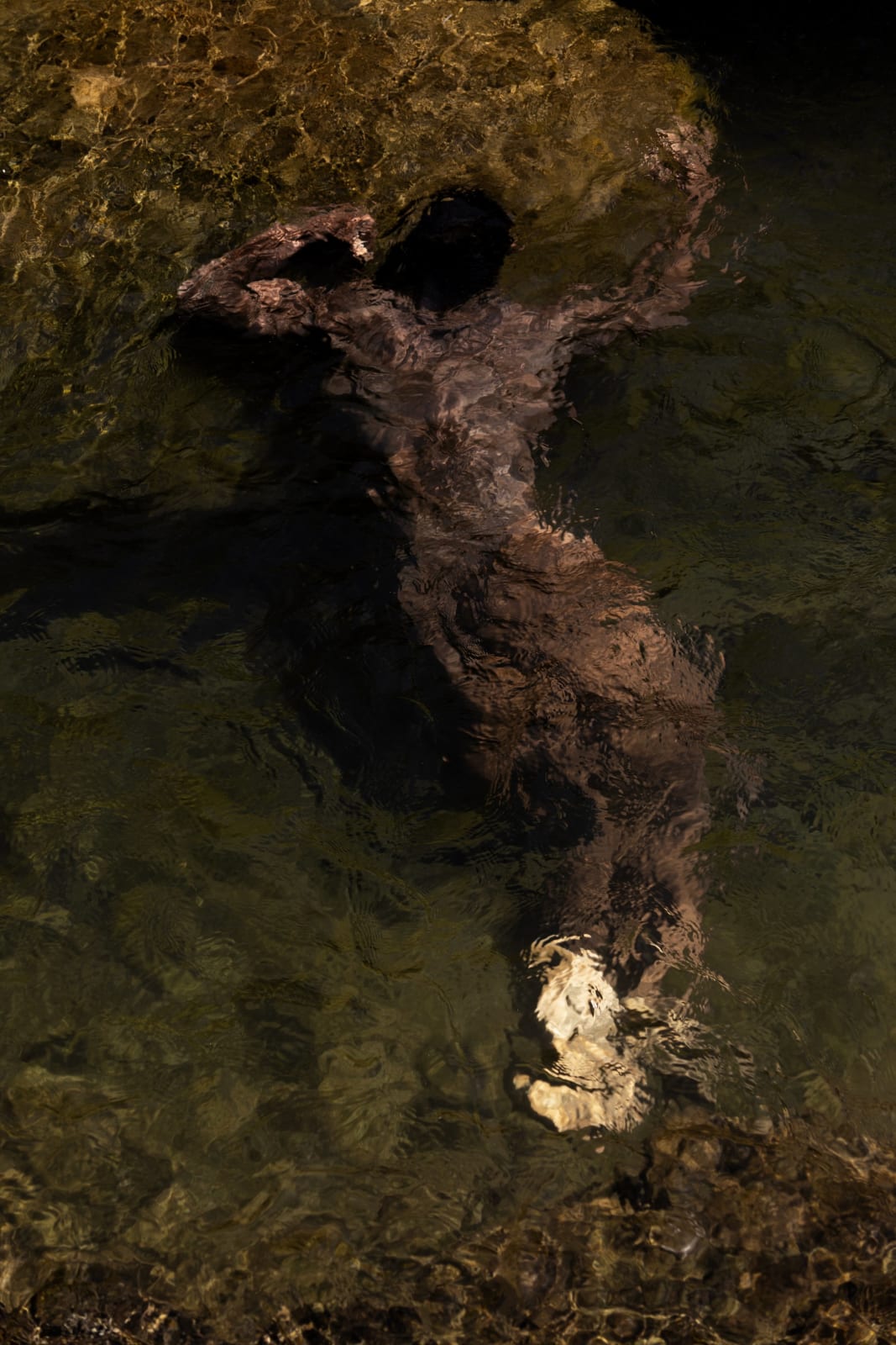 Francisco Allendes, Corpus Fluens II, 2025