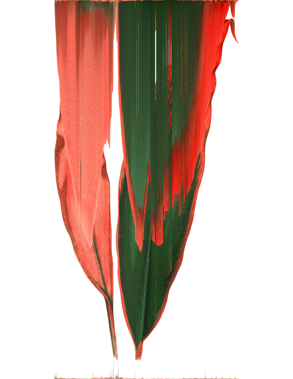 Andrea Wolf, Leaf Study, 2020